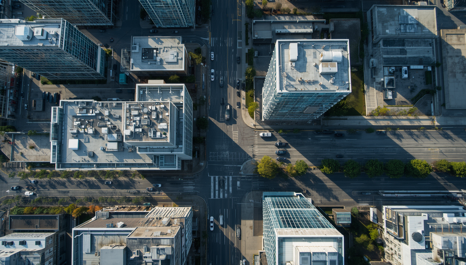 A public health platform turns dense action plans into executive-ready overviews.